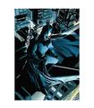 Puzzle Batman Vigilante Dc Comics 1000Pzs