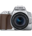 Canon Eos 250D Silver + Objetivo Zoom Ef-S18-55Mm F/3.5-5.6