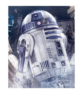 mini-poster-r2-d2-droid-the-last-jedi