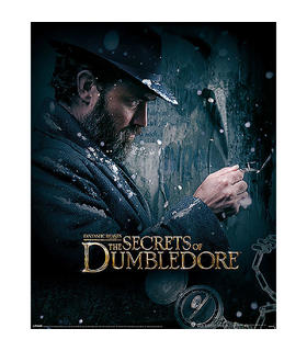 mini-poster-dumbledore-watch-the-secret-of-dumbledore-fa