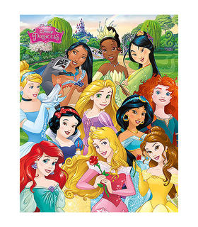 mini-poster-i-am-the-princess-princesas-disney