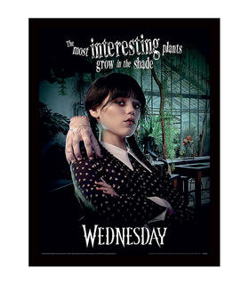 poster-enmarcado-the-most-interesting-wednesday-30-x-40-cm