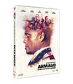 Dvd  - Armado